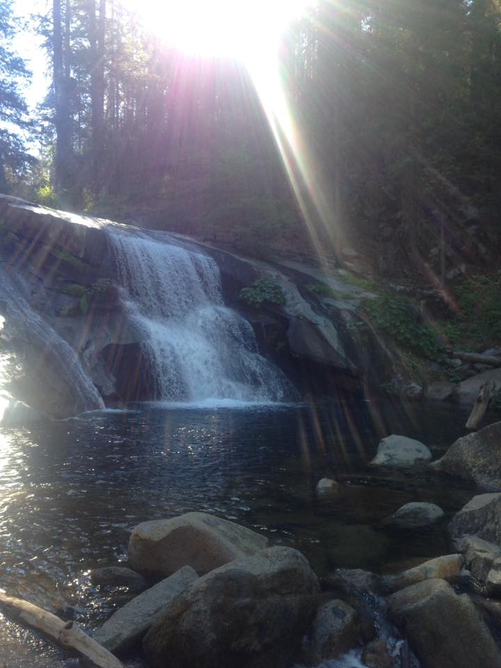 13690775_10154315472058119_7218103729850438438_n