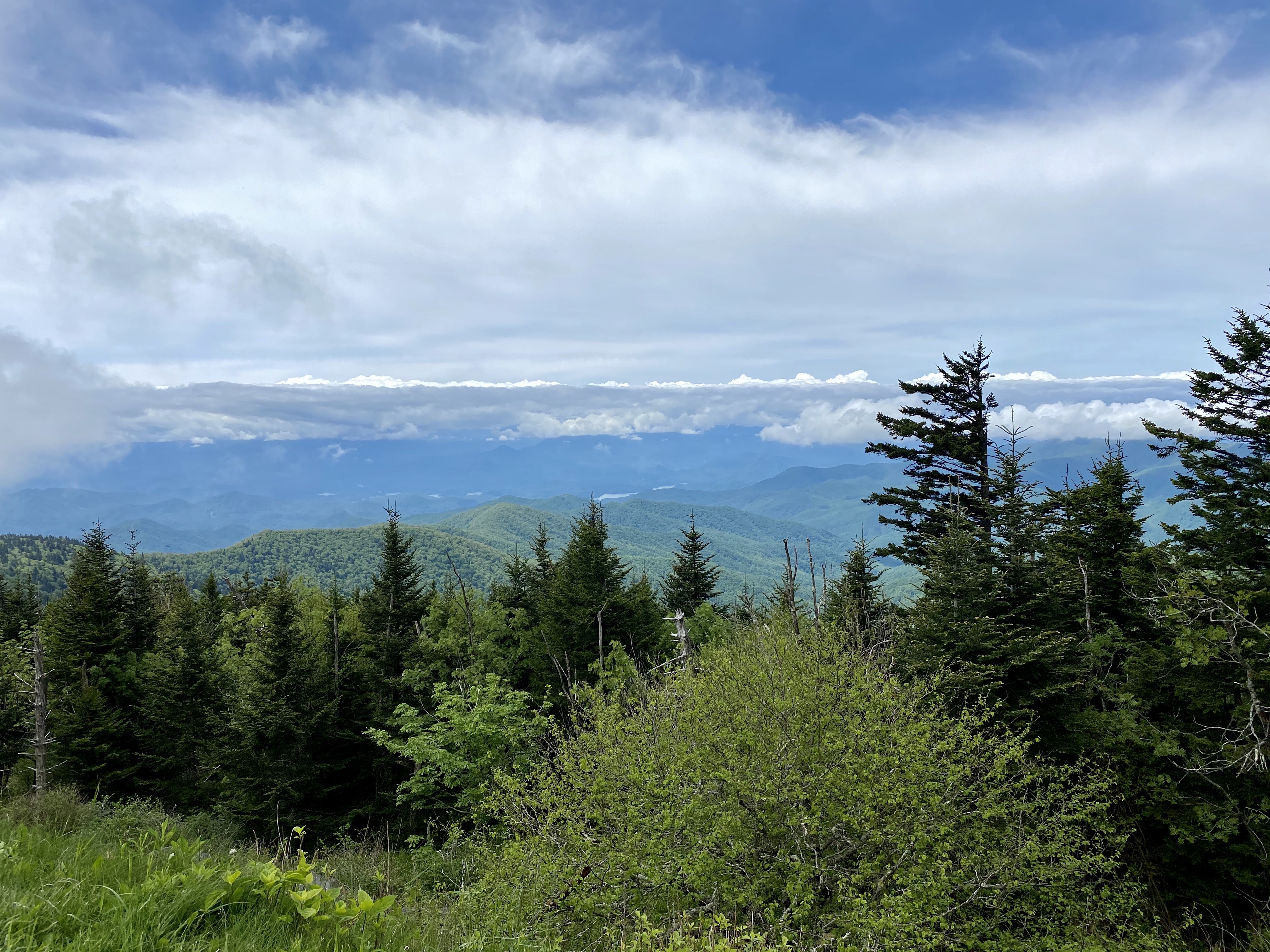 A hiking paradise close to home, the Great Smoky Mountains – Andy's