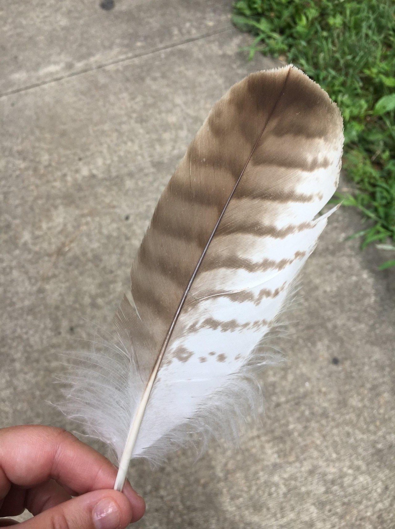 A special day at Kennesaw&nbsp;Mountain