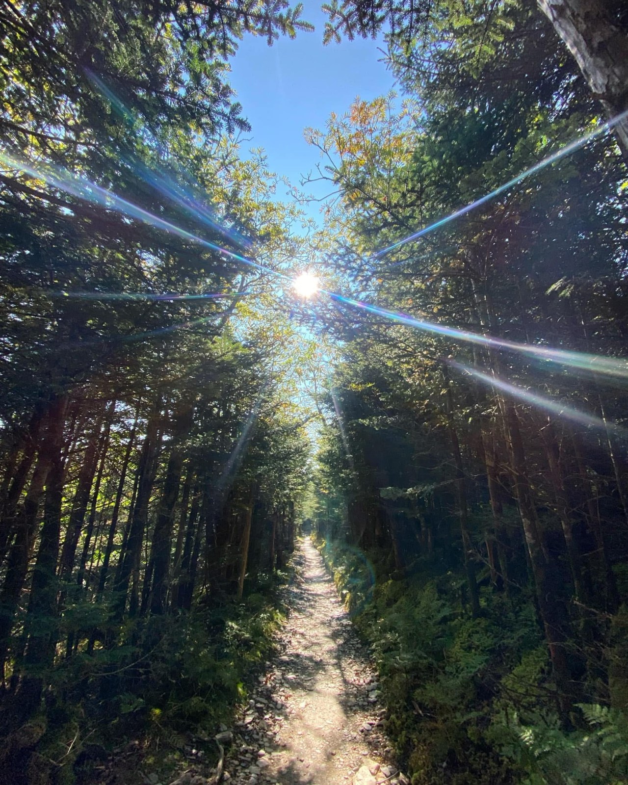 The Trail is&nbsp;Waiting