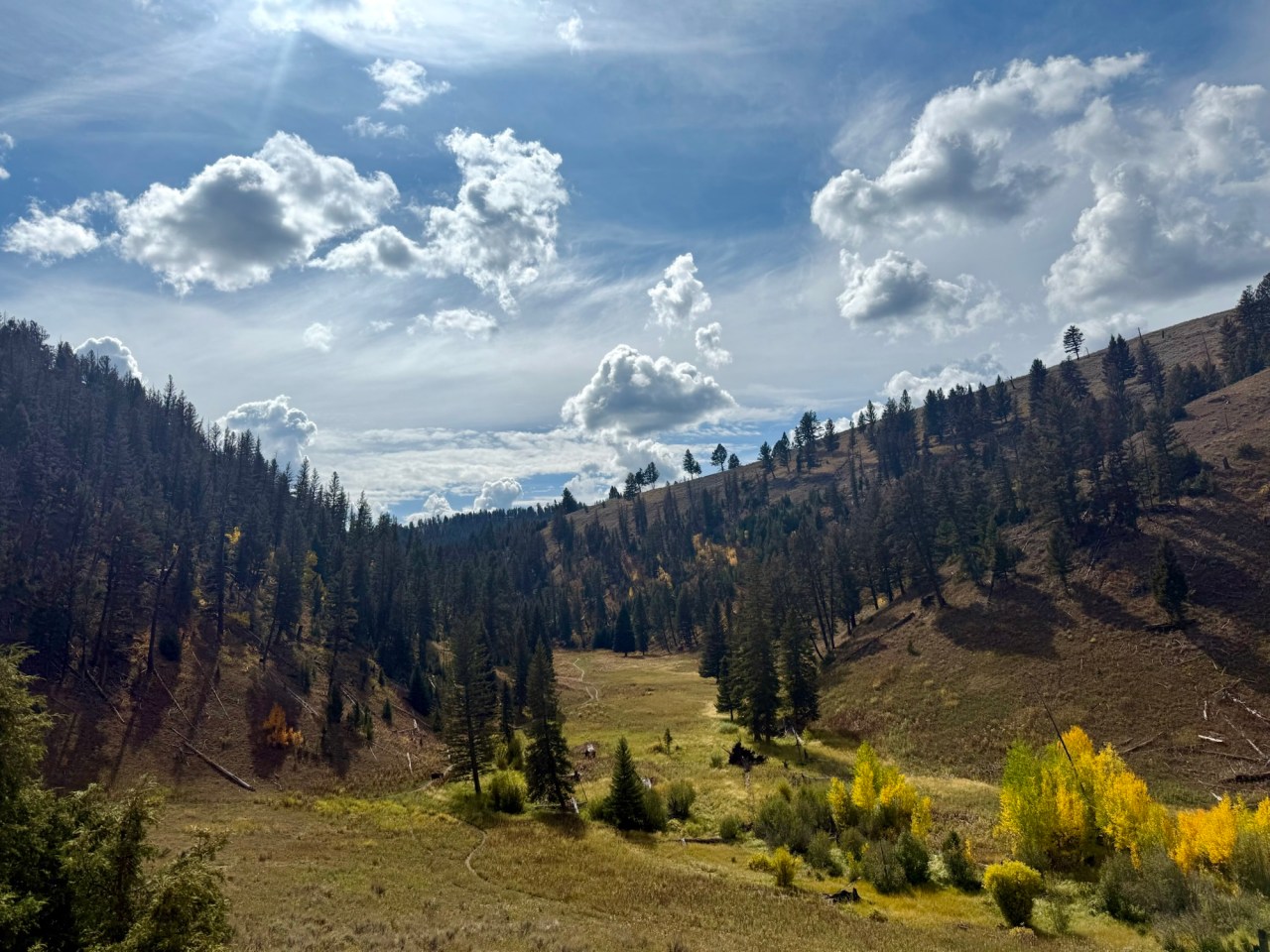 Lamar Valley- Yellowstone National&nbsp;Park