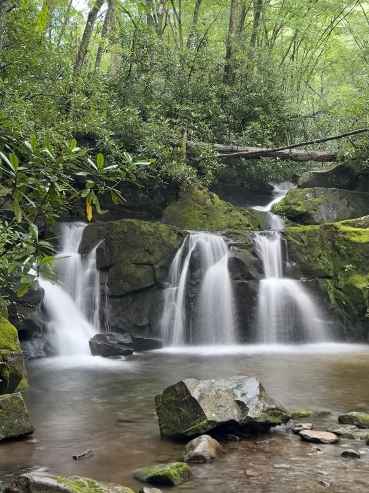 Hidden Gems of the Smokies: Lesser Known Trails That Beat the&nbsp;Crowds