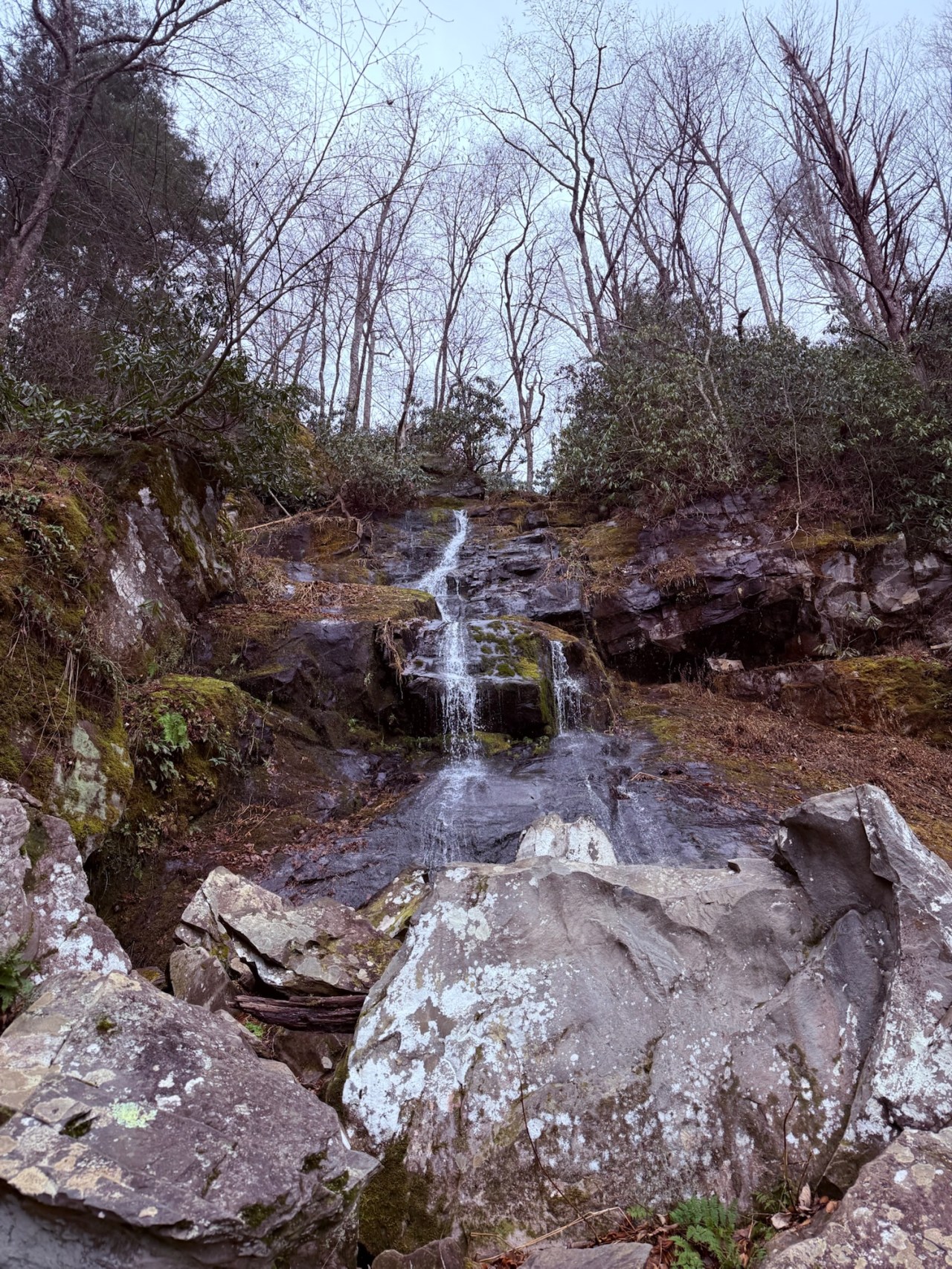 Hen Wallow Falls- Great Smoky Mountains National&nbsp;Park