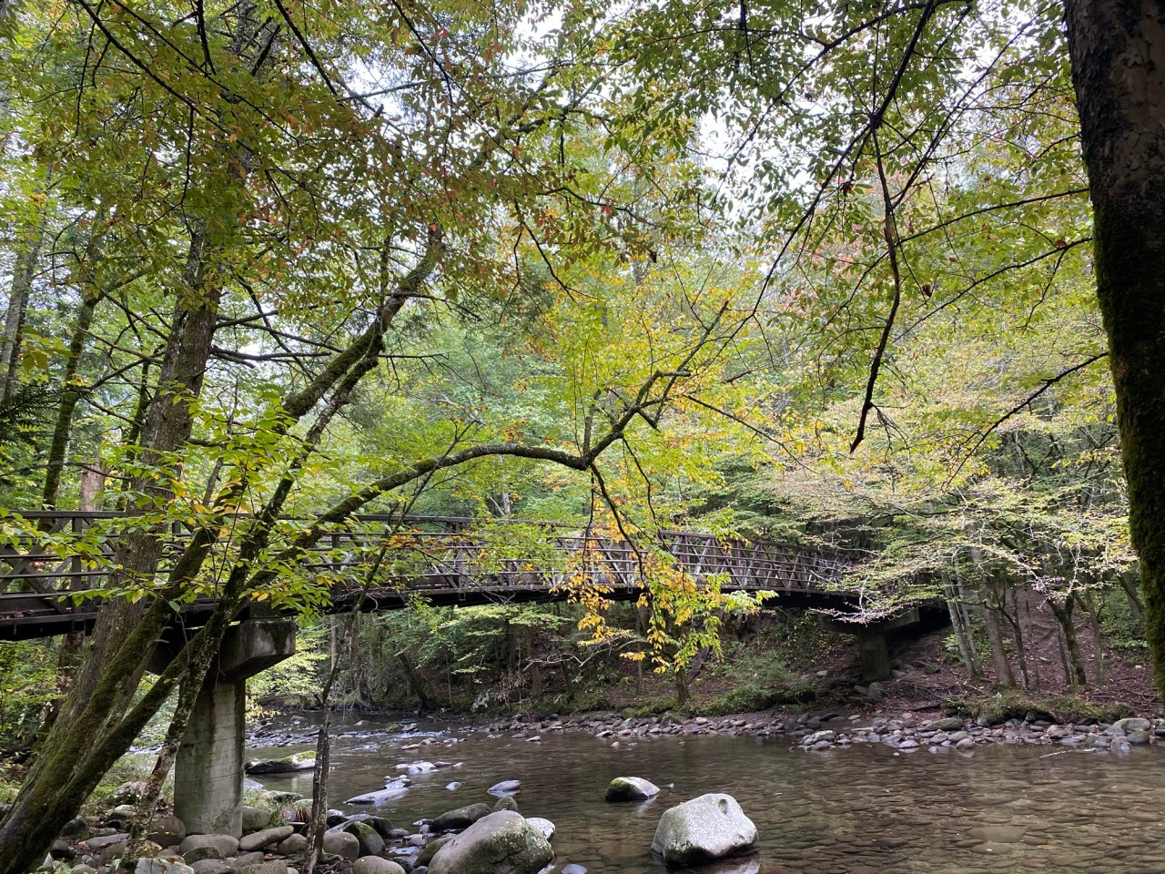 The Best East Tennessee Hikes for Recovery and Low Impact&nbsp;Adventure